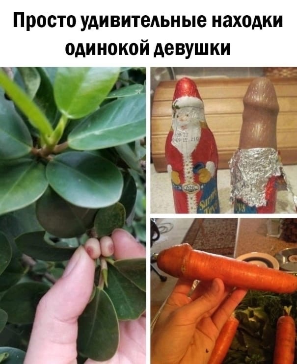 Так себе картинки 04.11.22
