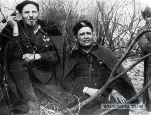 Начальник отделения полиции Мелитополя погиб в результате взрыва