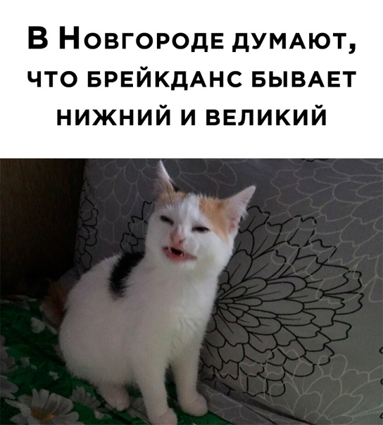 Весёлый полтишок 27.11.23