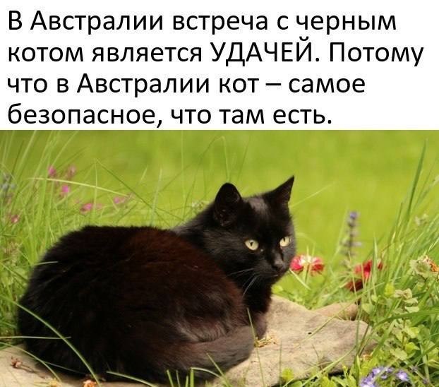 Тлидцать тли от 1 маЛта