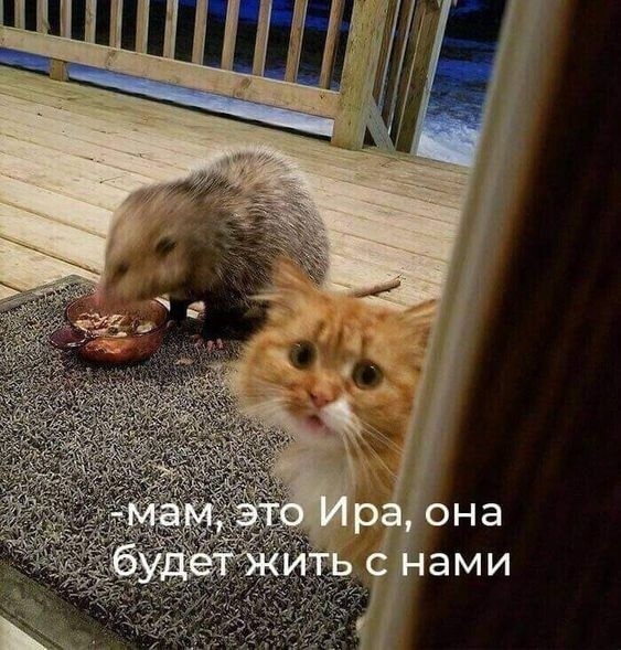 Завалялось тут случайно немного забавных картинок