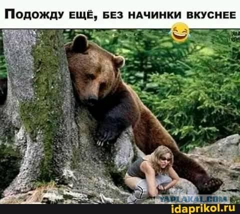 Залез в лесу в ямку, а потом узнал, что это берлога