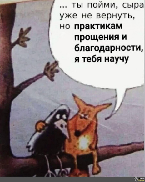 Котэ, совэ и все-все-все