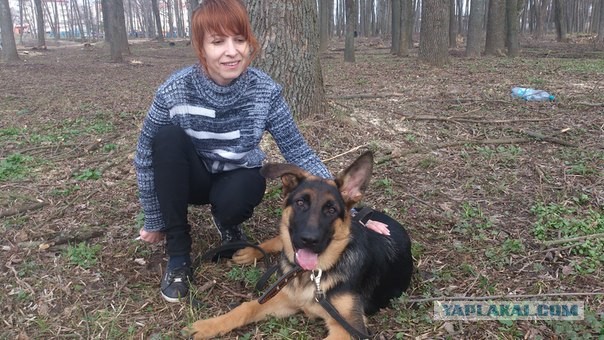 Эволюция счастья.