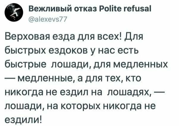 Весёлый полтишок 24.04.25