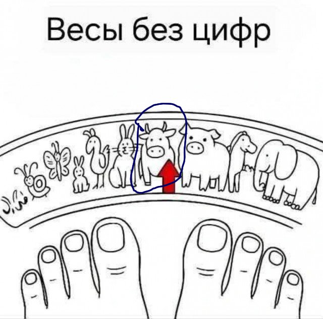 Завалялось тут случайно немного забавных картинок