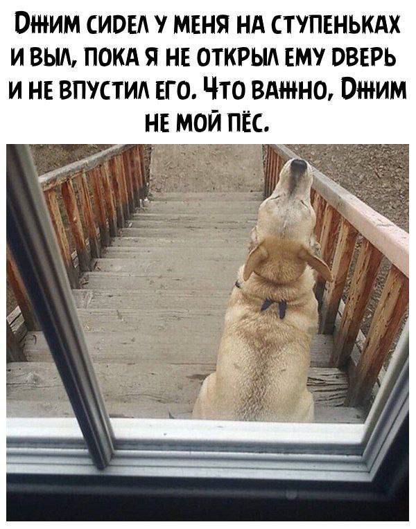 Так себе картинки 02.07.25