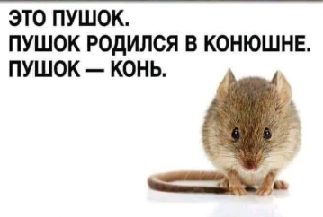 Веселые картинки в маленькую пятницу (24.09)