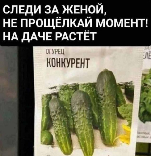 Смешнявых и не очень картинков пост