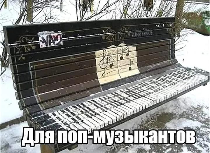 20588506.jpg