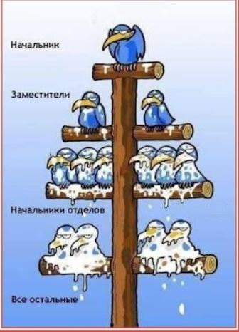 Развеиваем миф, что в СССР вдоволь-то и не ели и сравниваем с современностью