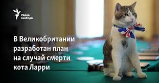 Считаю нужным дать ответ Трампу!