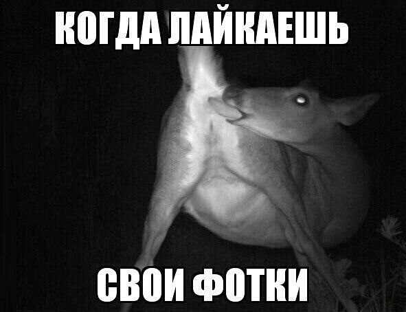 Маленькая пятница 14.01
