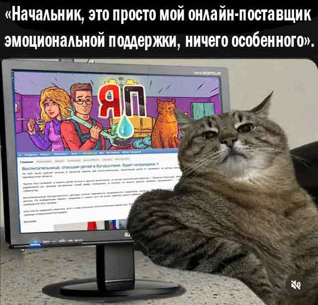 К котовторнику: подборка картинок-баянов с котиками и про котиков. Выпуск 31.