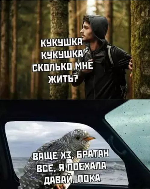 Картиночки, баянчики 23 марта