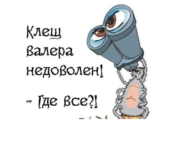 Вы пошли на пикник, а в траве вас радостно ждут клещи