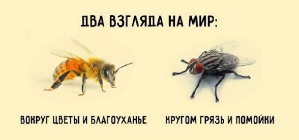 Сколько веревочке ни виться, а конец будет