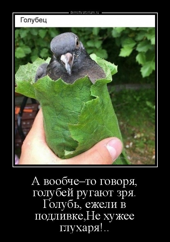 Голубятня
