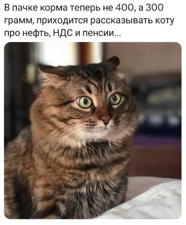 Картиночки, баянчики 14 июня