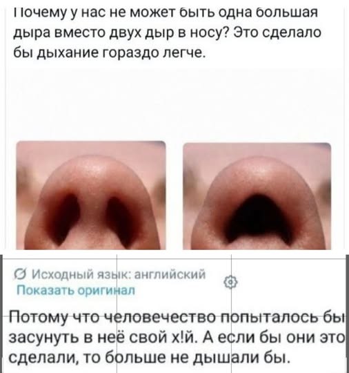 Картинки. Баяны и аккордеоны