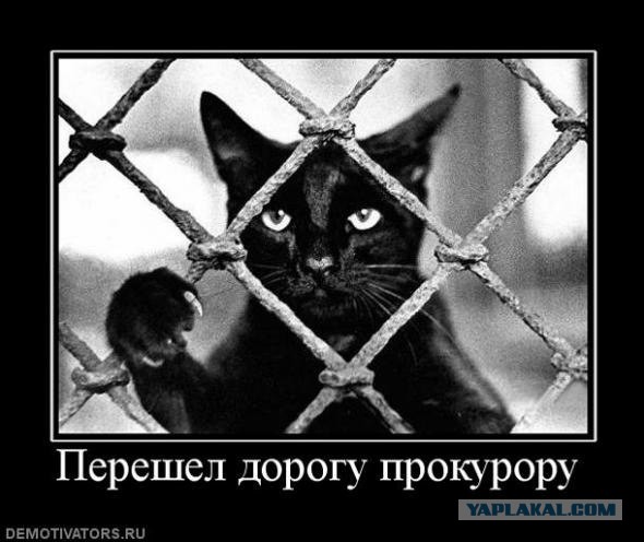 Прокурор Вологодской области изымает права