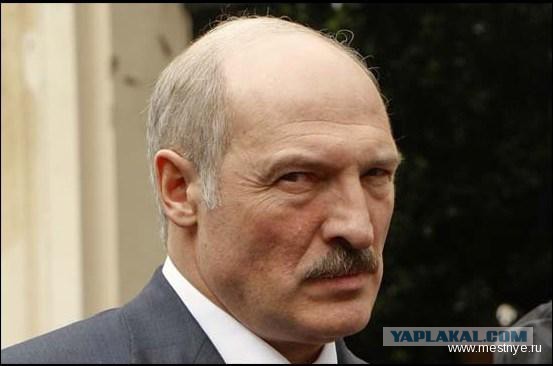 Лукашенко понизил зарплату директору «Криницы»