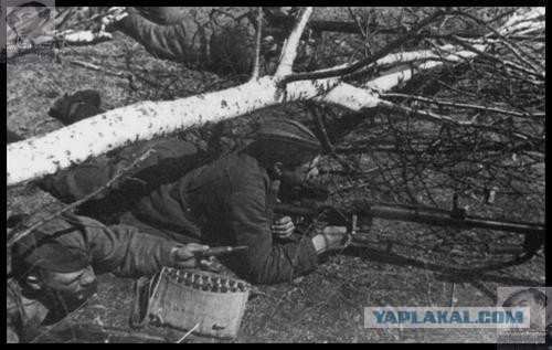 Несколько фотографий Великой Отечественной Войны