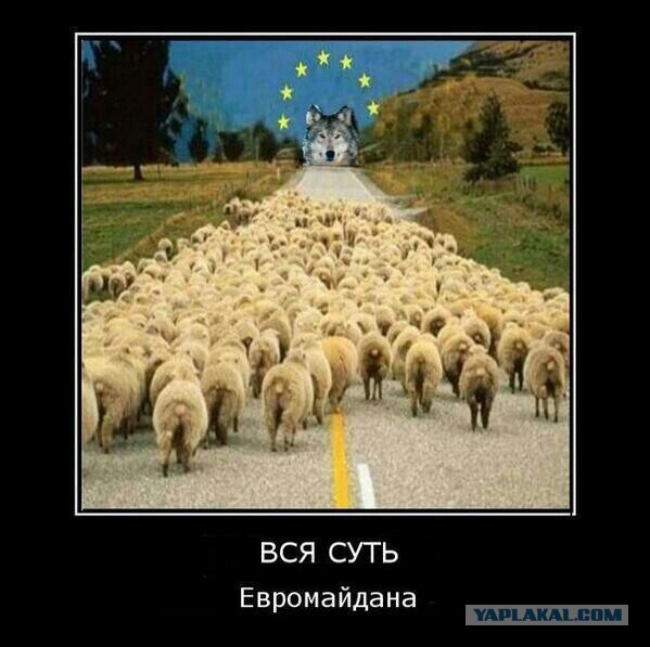 Бесславные ублюдки...