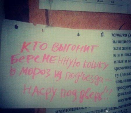 Котовторник 27.5.2014