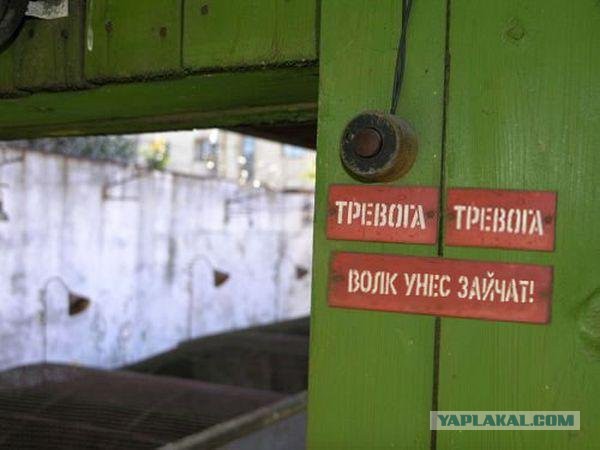 Немного позитива на пятницу