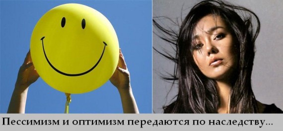 Факты в картинках