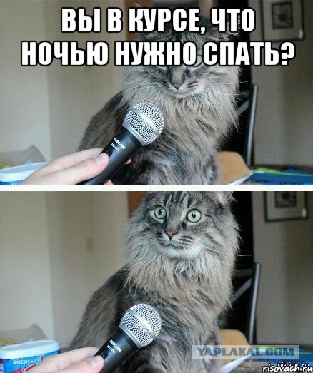 Вот и потрахалась...