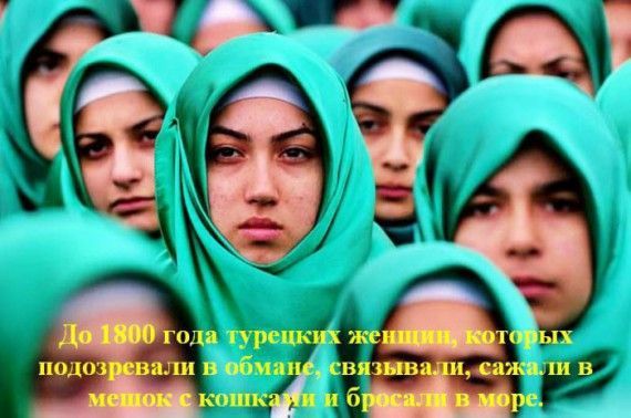 Интересные факты