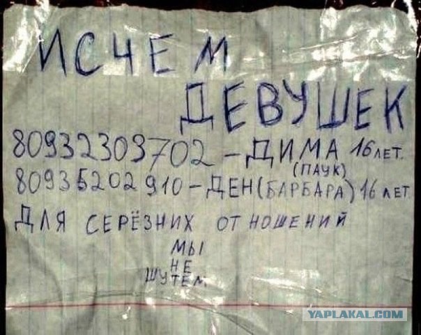 Исчем девушек