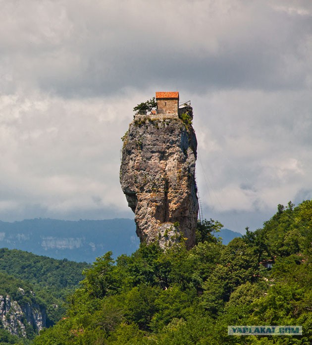 Весёлые картинки