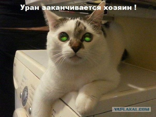 Картинки.