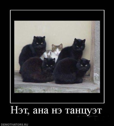 Картинки из инета