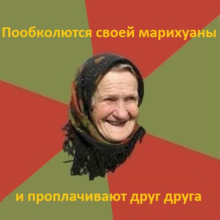 Где ты теперь, Амстер?