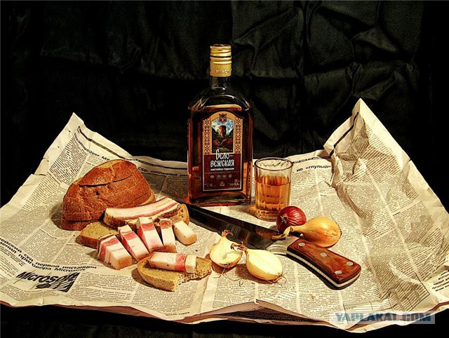 Сирия глазами украинцев
