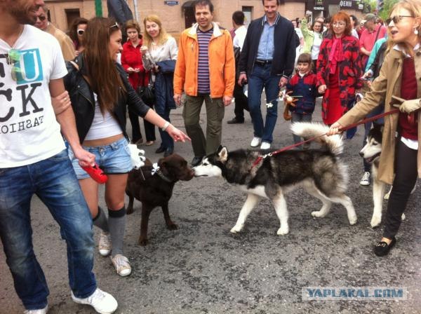 В Москве проходит "контрольная" прогулка