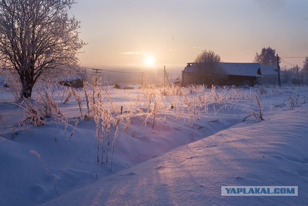 Будни архангельской деревни