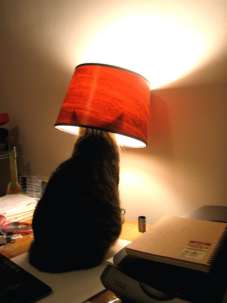 Новое поколение радует