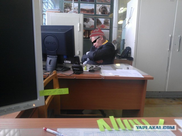 Рабочие будни моего начальника