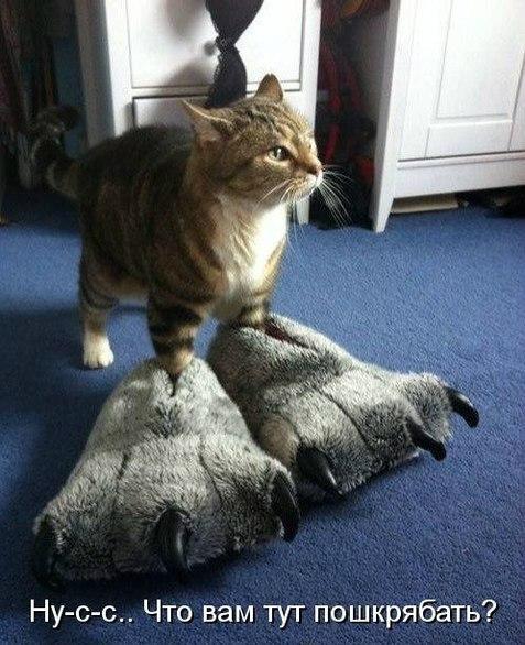 Подборка картинок