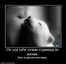 Как видите себя вы, и как видит вас ваша собака