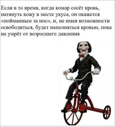 Жало комара