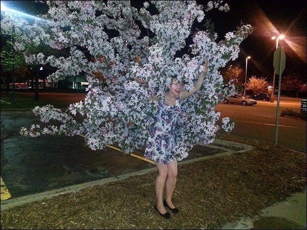 Подборка любопытных фотографий со всего света