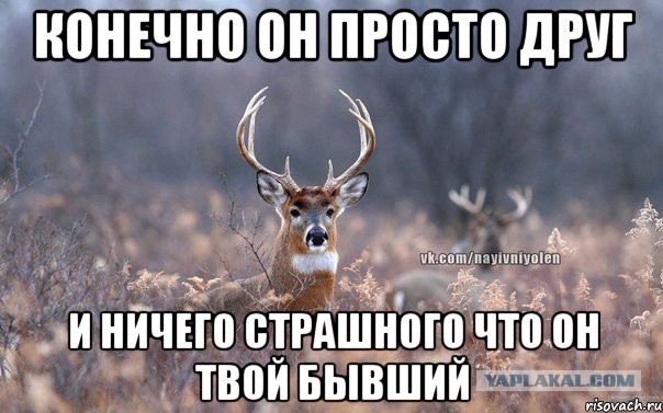 Попил пивка с бывшей