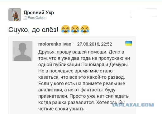 Смешные комментарии 28.08.2016