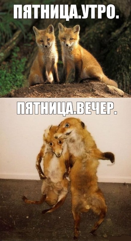 Клуб анонимных алкоголиков 4.